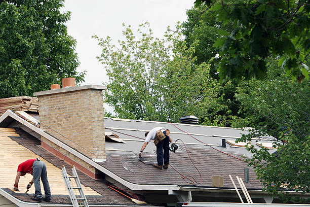 Best Roof Gutter Cleaning  in Eastover, NC